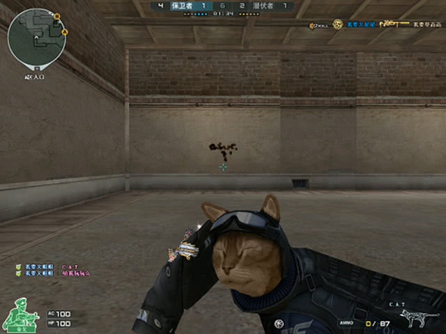 LPL主持夏安分享照片：在阳光下的咔嚓咔嚓